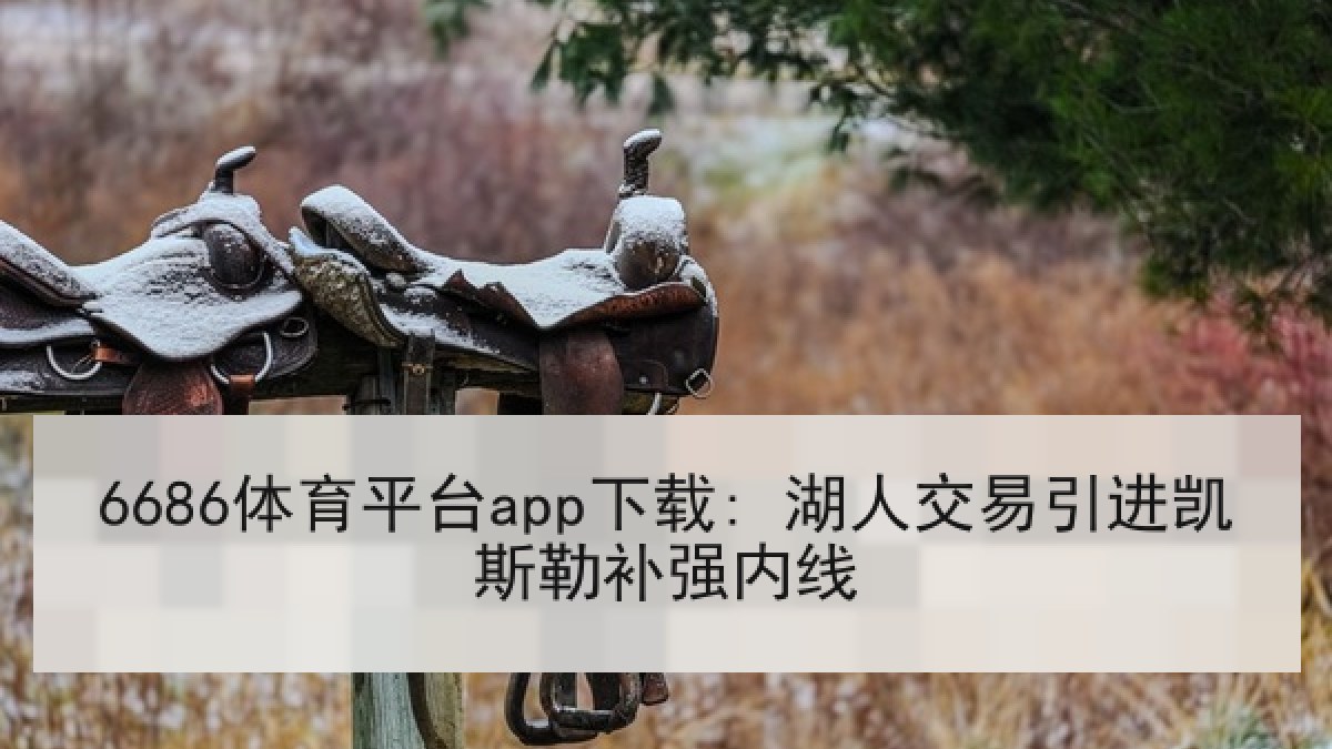 6686体育平台app下载: 湖人交易引进凯斯勒补强内线